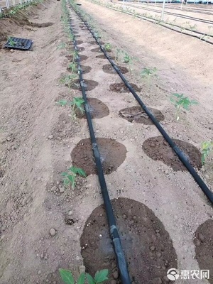 迷宫式滴灌带与塑料节水管件 现代农业节水灌溉的理想选择