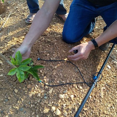 茂源牌滴箭 优质灌溉滴箭的领先选择与实用指南